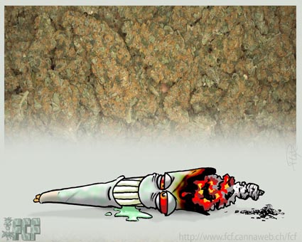 cannabis